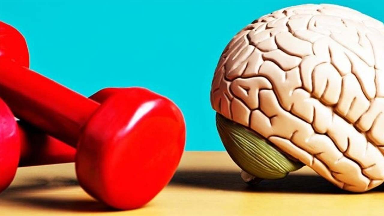 24-01-13_la-salud-de-nuestro-cerebro_01