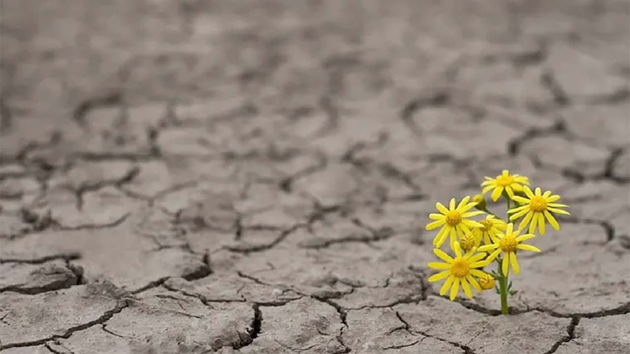 Esperanza: umbral abierto frente a las desdichas