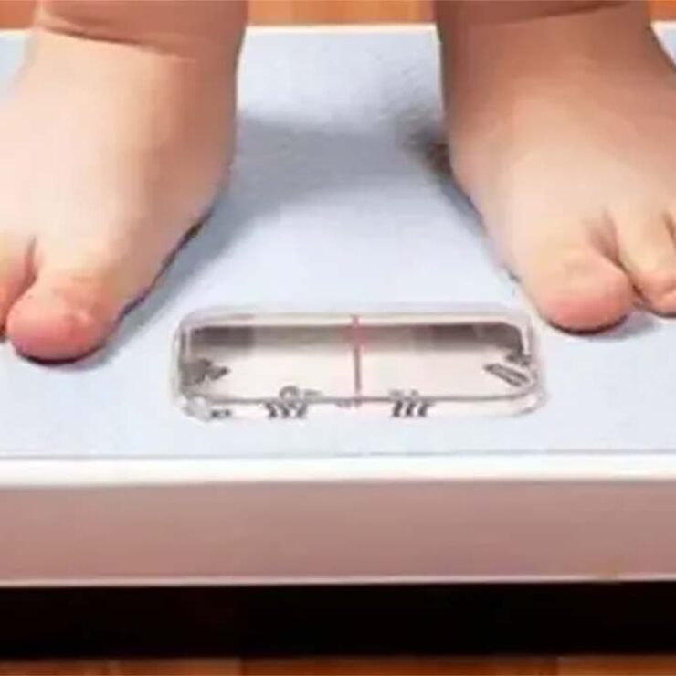 Obesidad: ya no es solo una cuestión de calorías, también compromete al cerebro