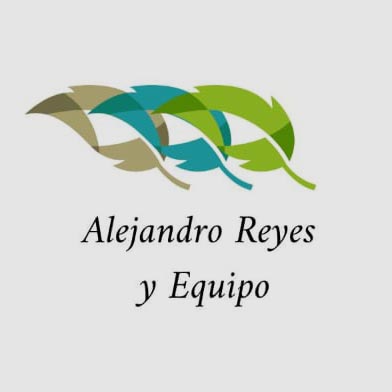 Alejandro Reyes y equipo