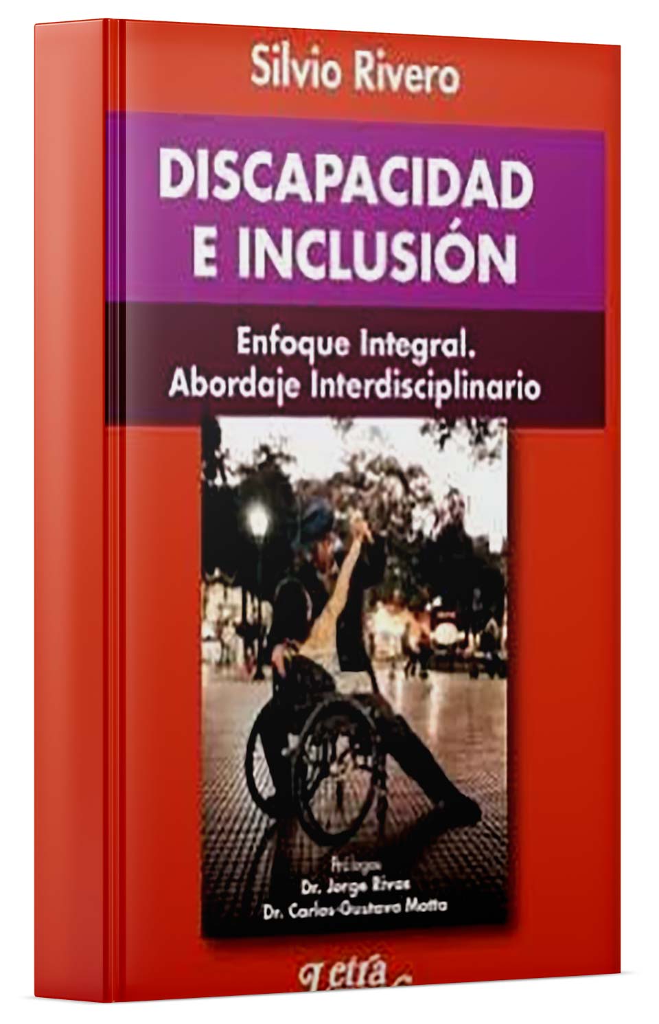 Discapacidad e inclusión