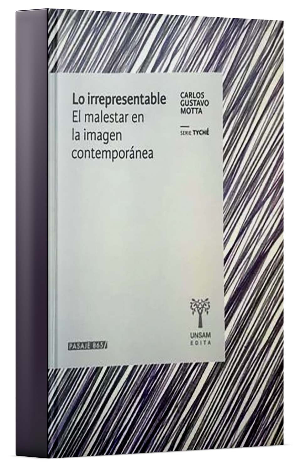 Lo irrepresentable