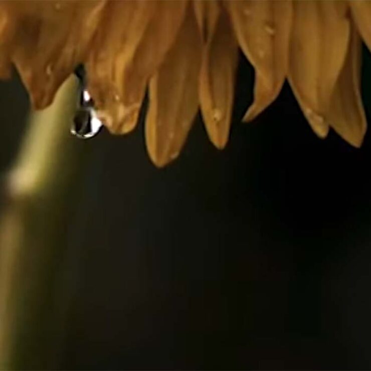 un-poco-de-tiempo-duran